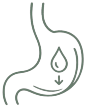 DIGESTION